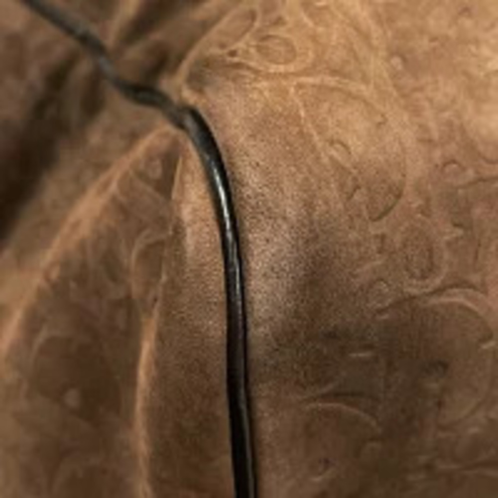 Dior bag suede Trotter Christian leather travel Boston trip business brown